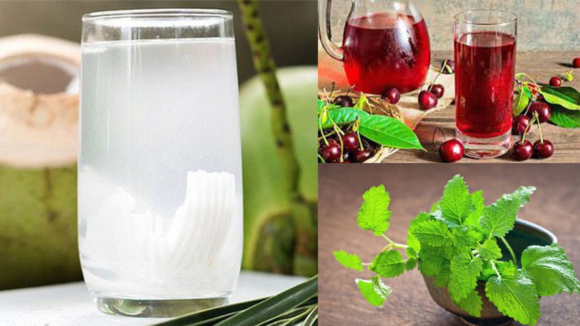 7 Thức Uống Vàng Giảm Stress: Dịu Thần Kinh – An Tâm Ngủ Ngon – Cân Bằng Cảm Xúc Cùng HealthMate! 🍵💚